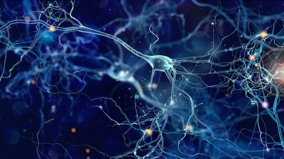Digital image of a group of firing neurons with a blue colour scheme.