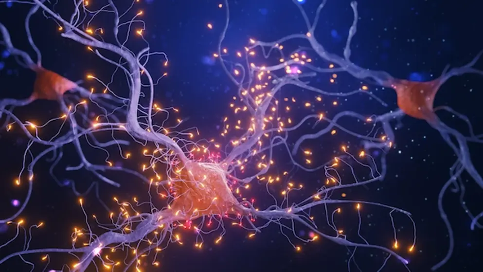 Digital image of bright neurons pulsing on a dark background.