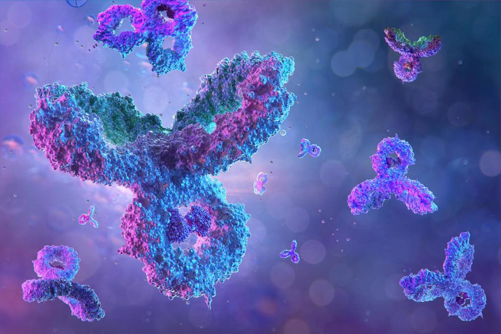 Antibodies, immunoglobulin Ig proteins 3D medical background