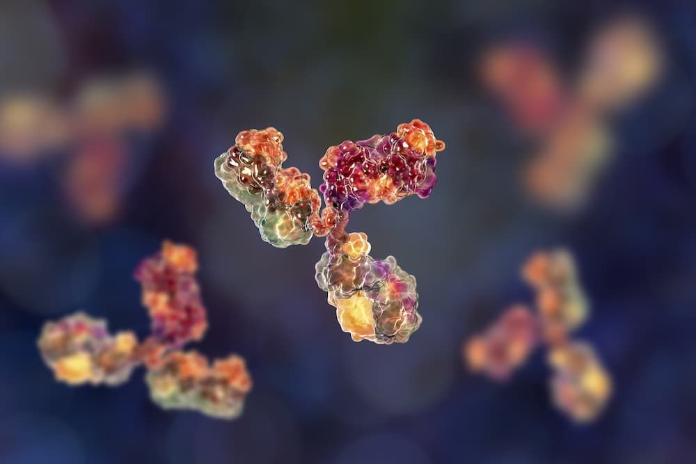 Food Allergy_Antibodies