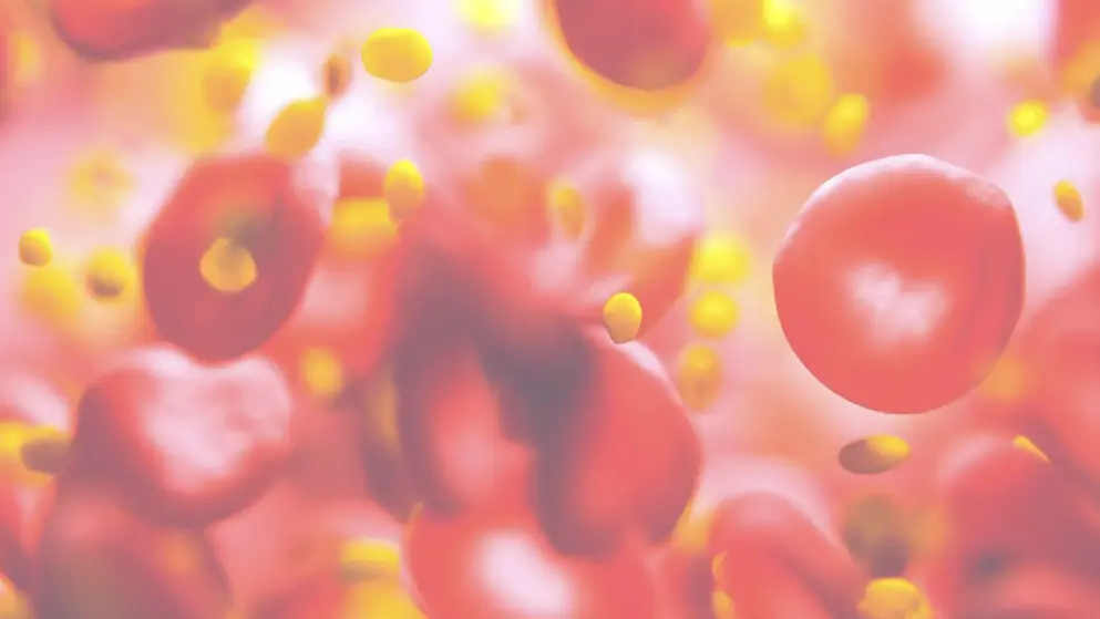 Red blood cells
