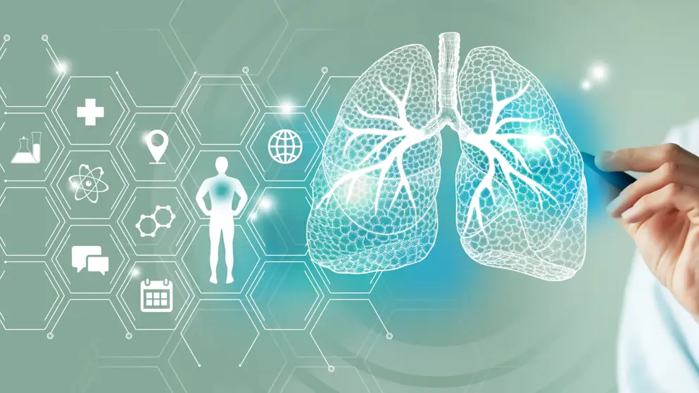Adobe_503531380 Unrecognizable female doctor holding graphic virtual visualization model of Lungs organ in hands. Multiple medical icons on the background.