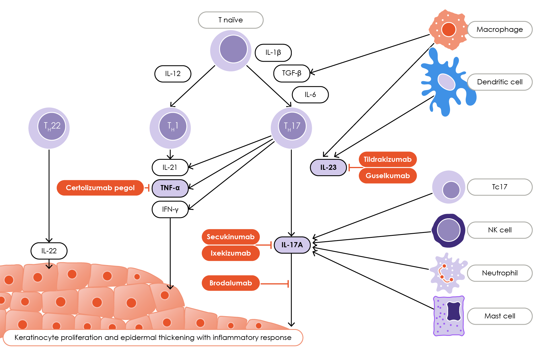 argeted biologics in Phase III clinical trials for use in children with plaque psoriasis