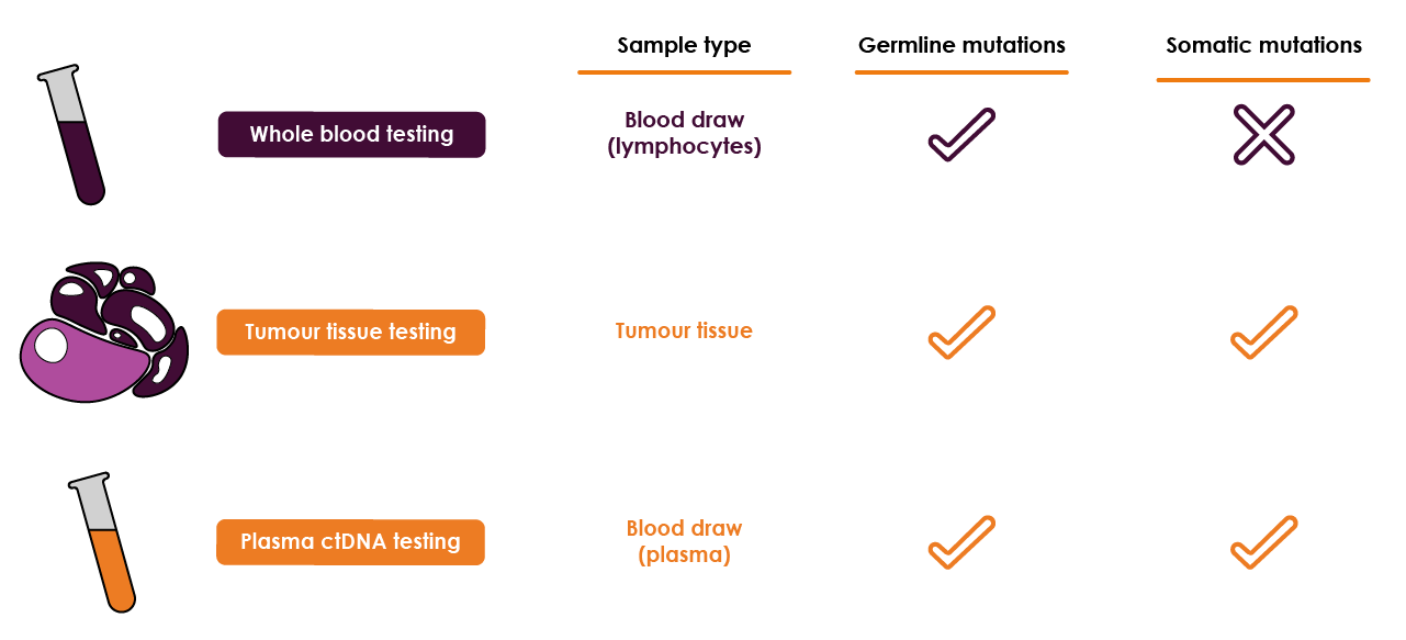 Figure 2. Patient samples used for molecular testing of germline and somatic mutations. Adapted from Cheng et al., 2019; Slavin et al., 2018