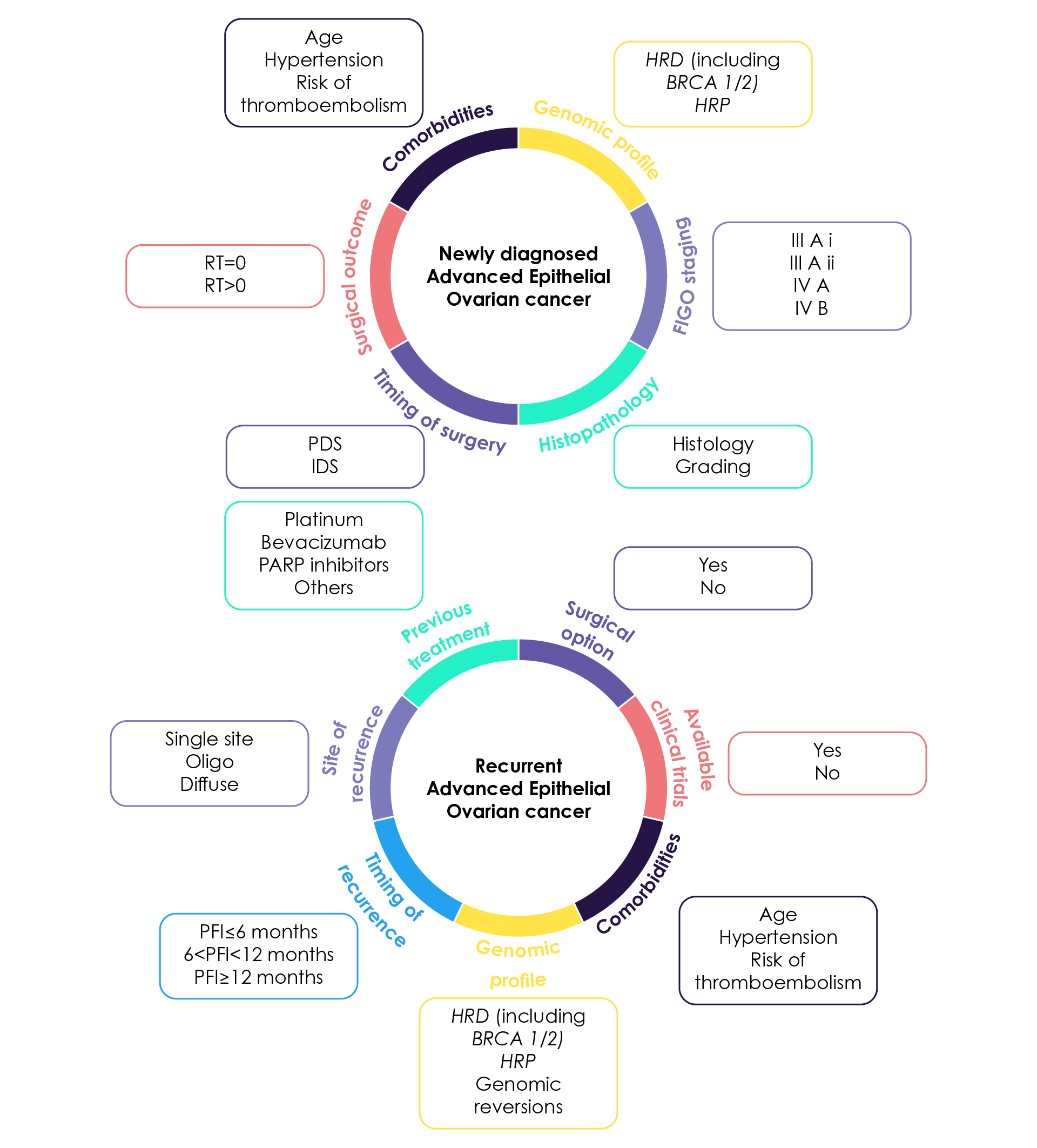 Key considerations to help guide optimal treatment decisions for women with newly diagnosed and recurrent advanced epithelial ovarian cancer