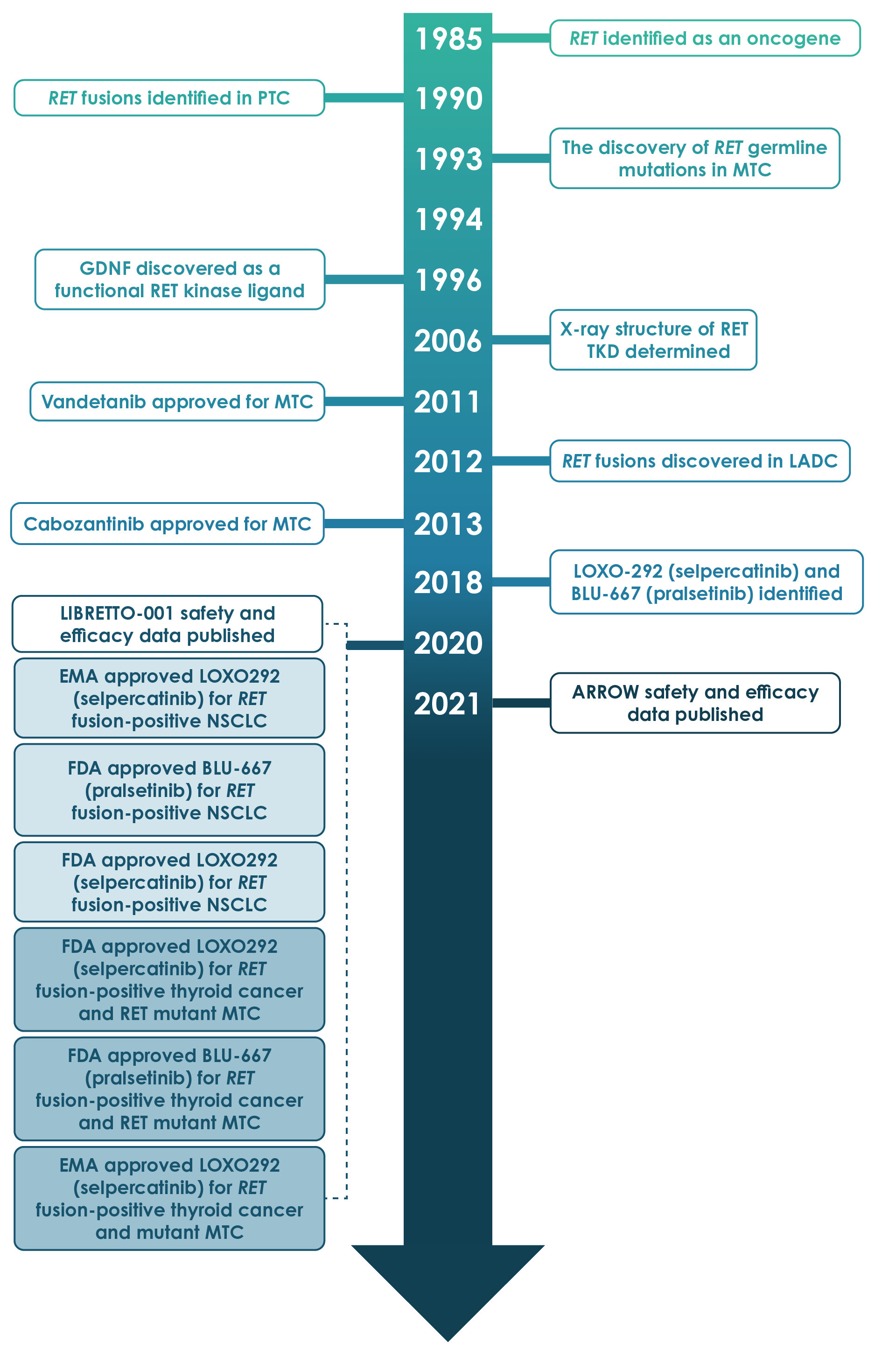Timeline of major developments in research on RET and RET inhibition