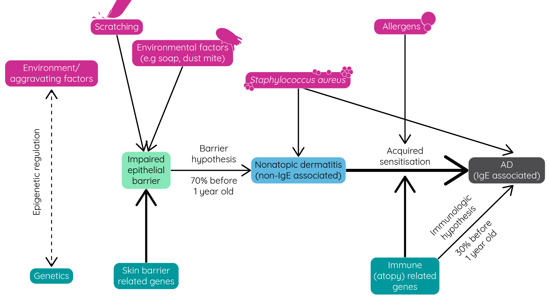 Genetic and environmental factors affecting the development of atopic dermatitis