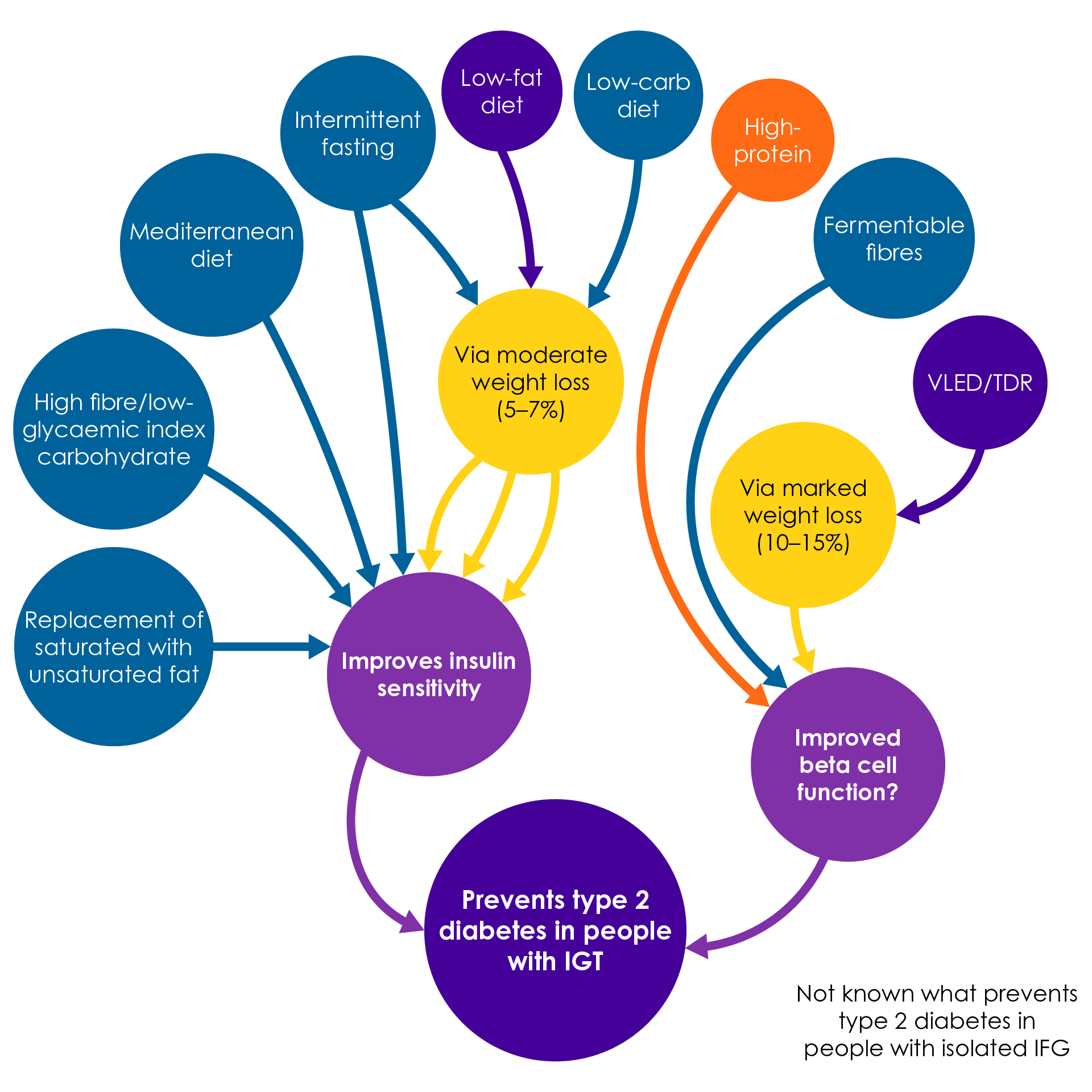Dietary strategies are shown to improve (purple) or provide some evidence of improvement (blue) and potential for improvement (orange) in T2D13.