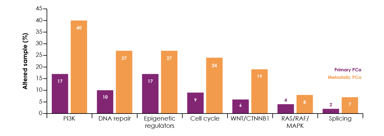 Figure 1. Frequency of alterations identified in cellular pathways and genes for metastatic prostate cancer versus localised disease. Adapted from Armenia et al., 2018