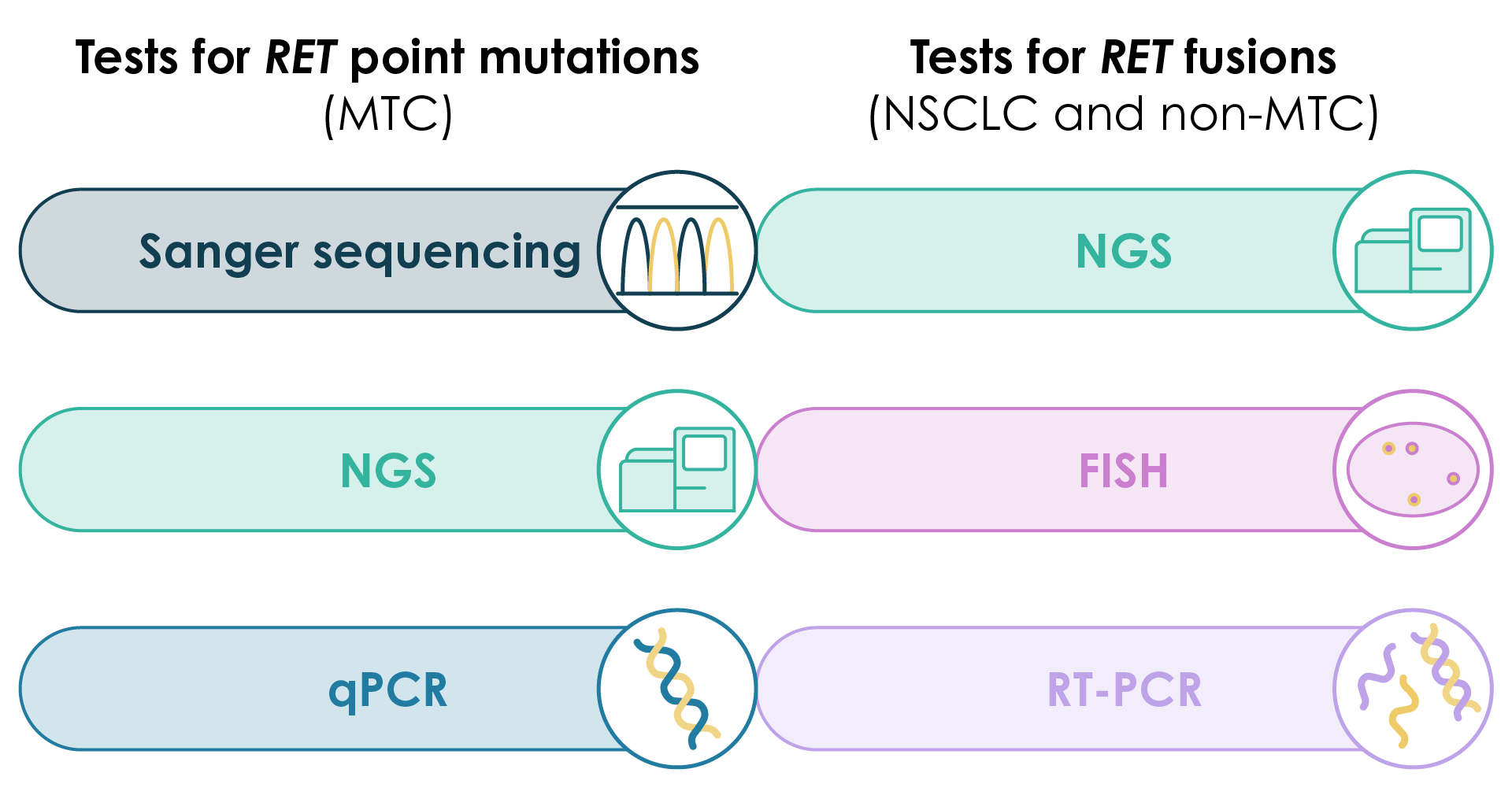 Molecular testing techniques suitable for the detection of RET alterations in medullary thyroid cancer and NSCLC
