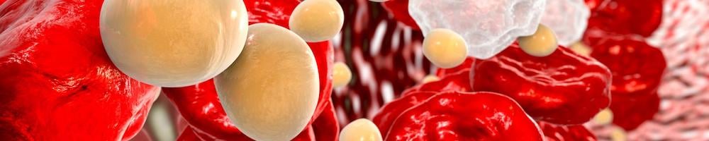 Cholesterol molecules in blood