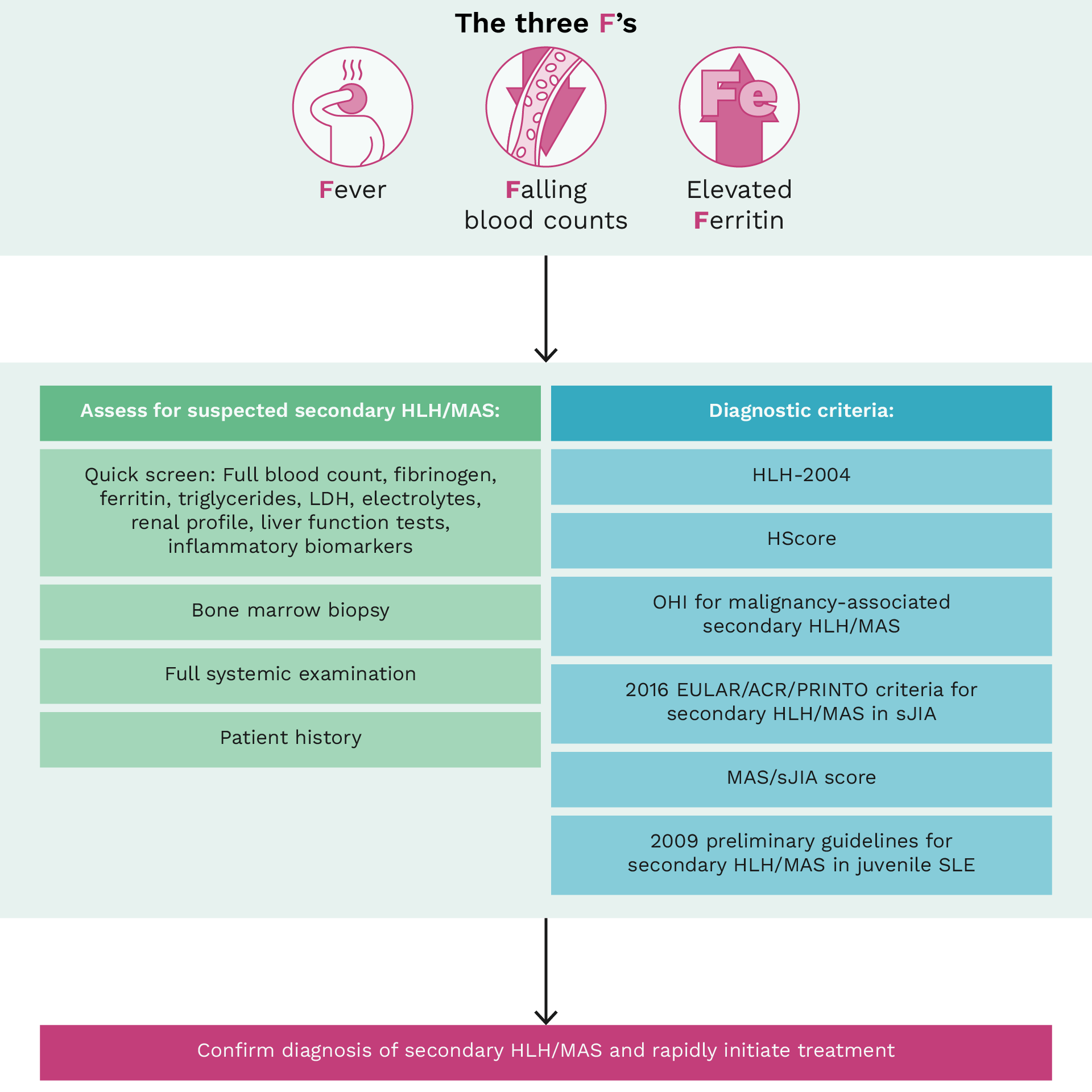 Flowchart demonstrating the diagnostic process for secondary HLH/MAS in pediatric and adult patients. The initial step is recognizing the triad of fever, falling blood counts, and elevated ferritin. The next step involves various blood tests, a systemic examination, bone marrow biopsy and patient history. Assessment of the appropriate diagnostic criteria and scoring systems occurs simultaneously, in order to confirm diagnosis. 