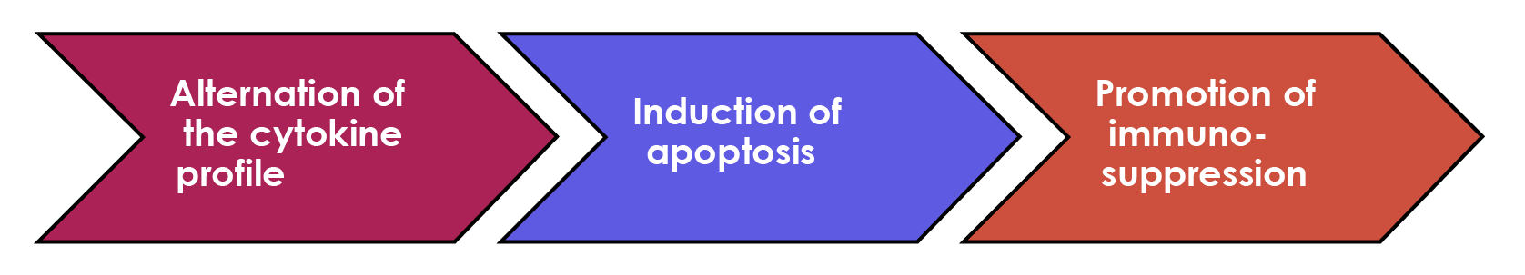 phototherapy seems to act through a combination of pathways