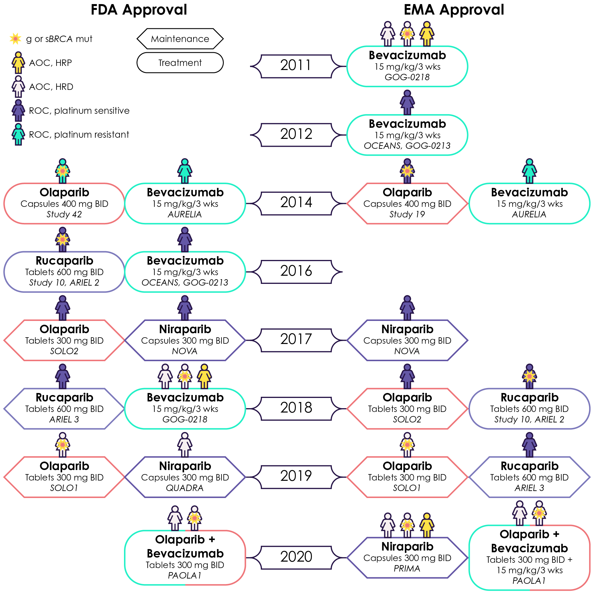 Timeline of targeted therapy approvals for ovarian cancer by the FDA and EMA