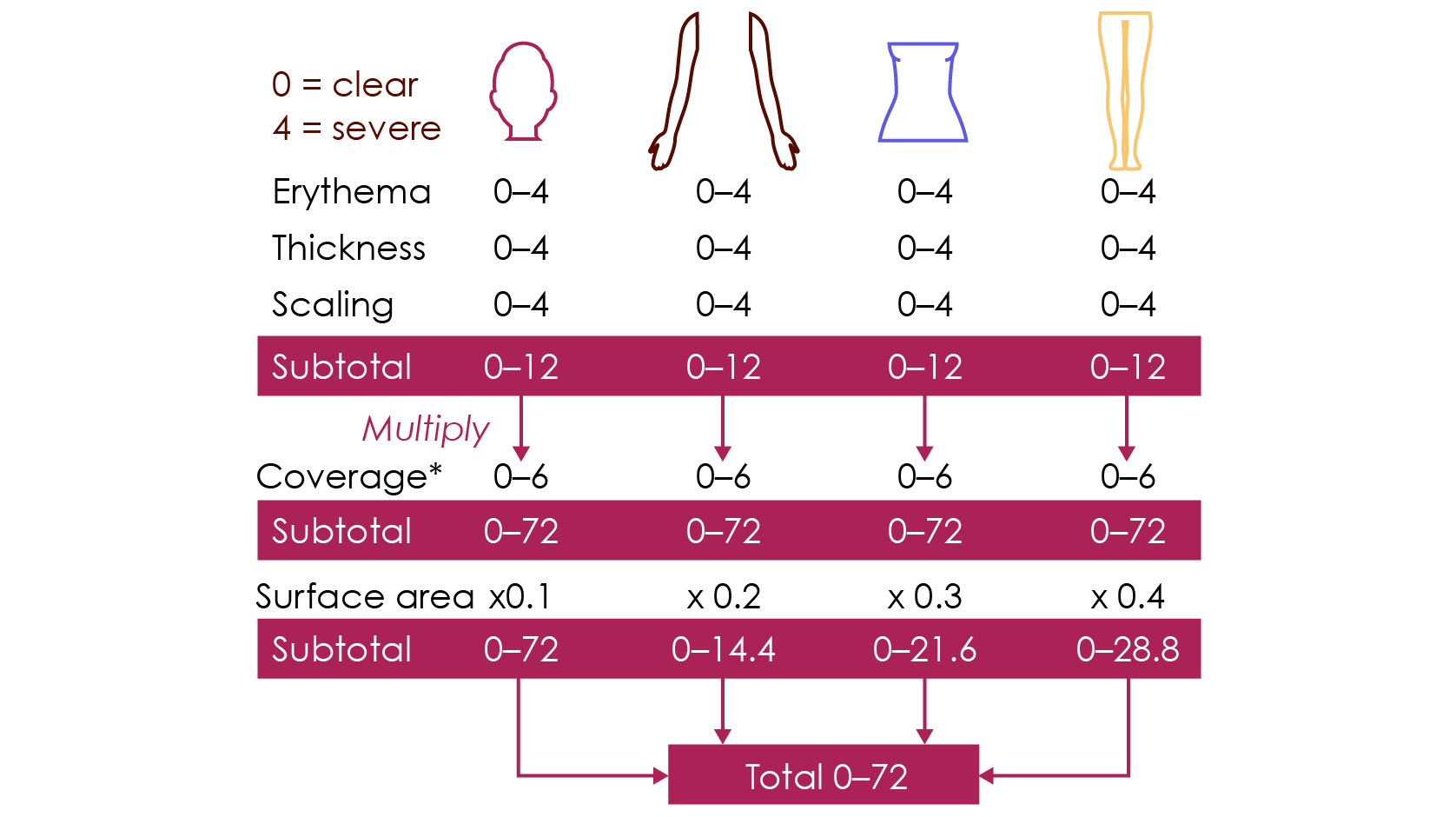 The following process, is required to generate a PASI score