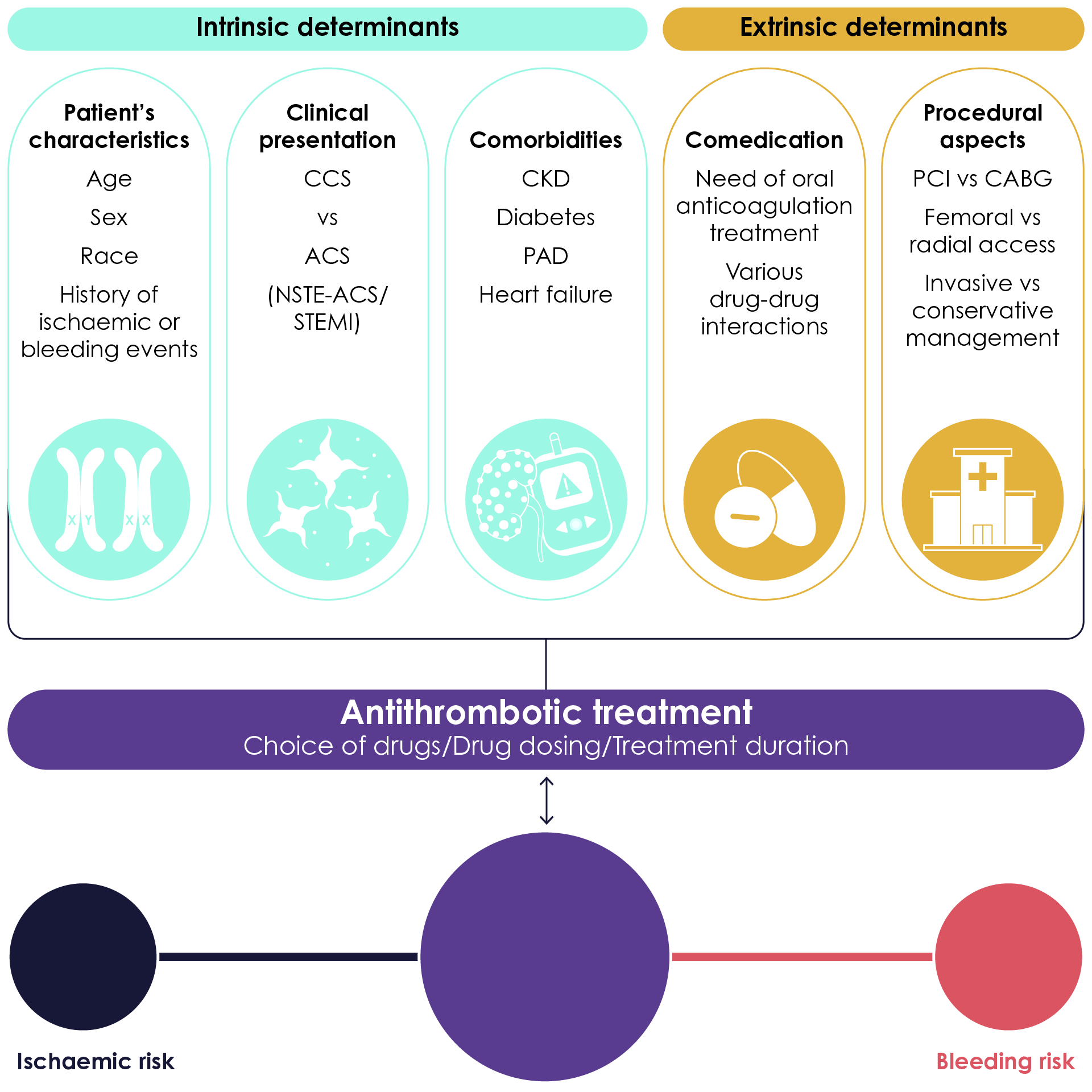 Determinants of antithrombotic treatment in acute coronary syndrome