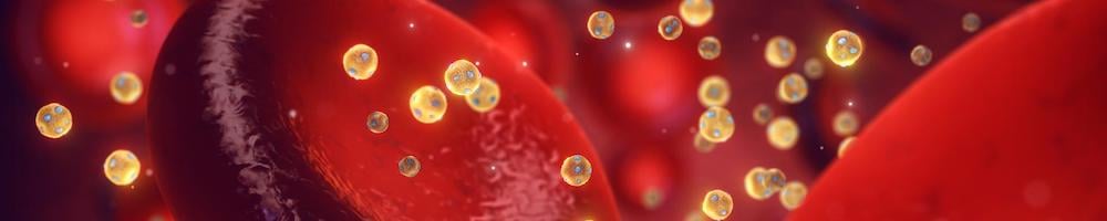 High-density lipoprotein particles(HDL) also known as good cholesterol, in the blood