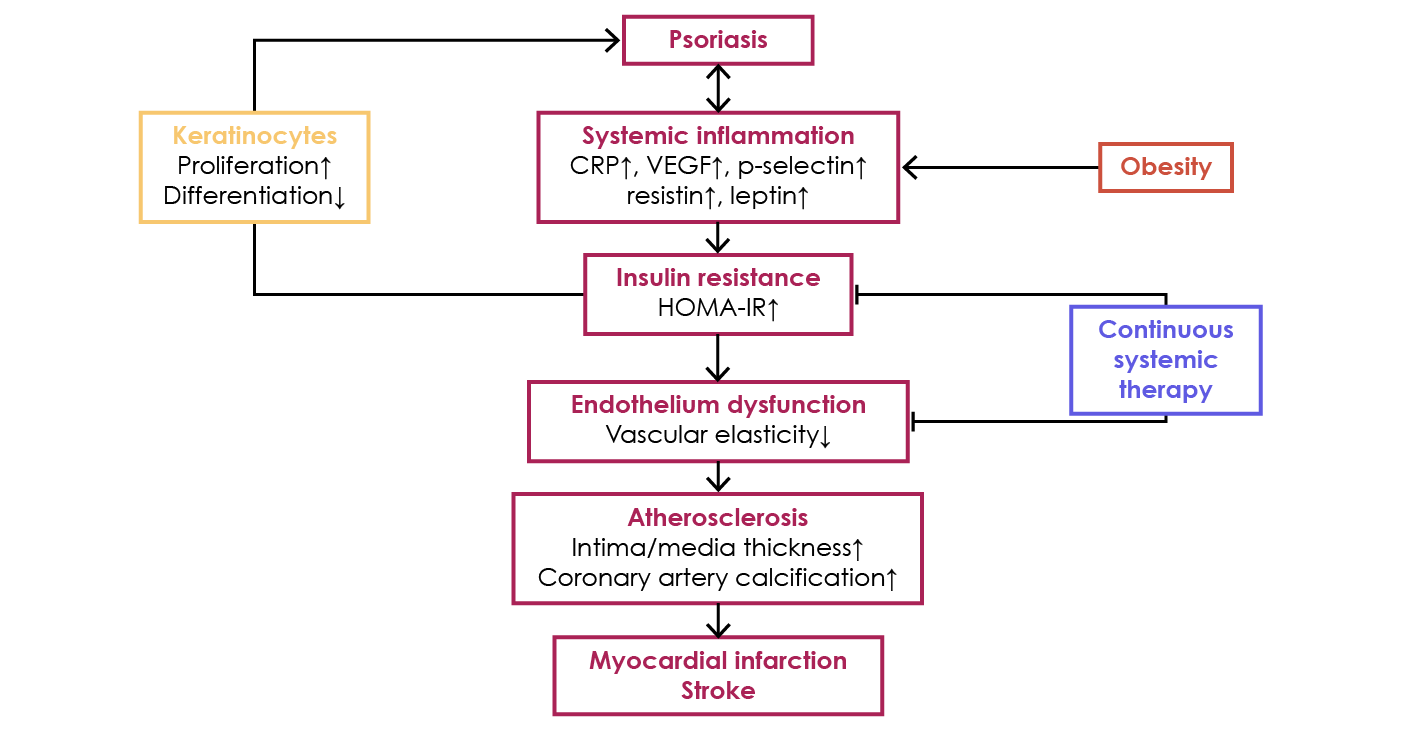 Figure 8. Psoriasis and cardiovascular disease: the psoriatic march