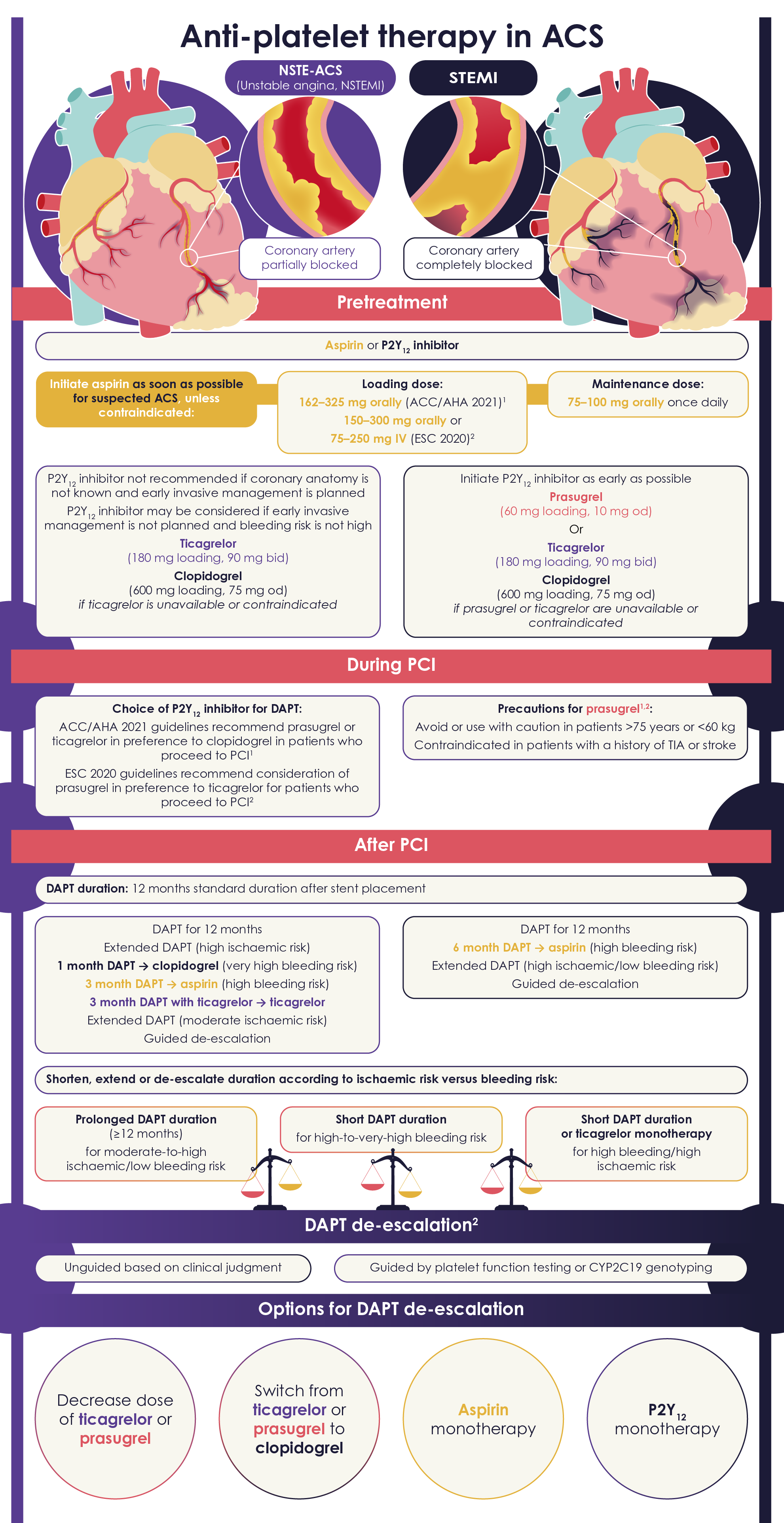 Anti-platelet infographic