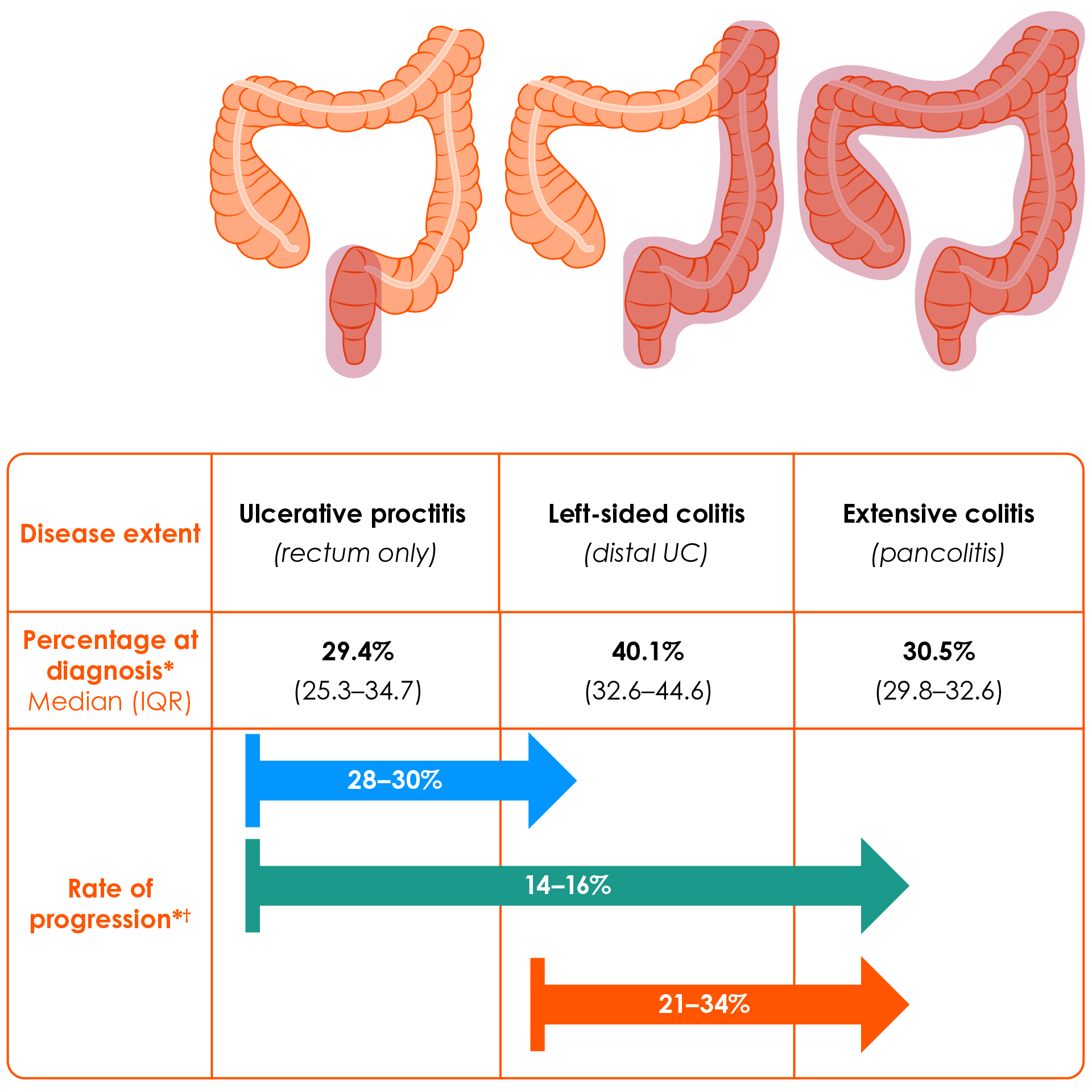 Disease extent and rates of progression in patients with ulcerative colitis