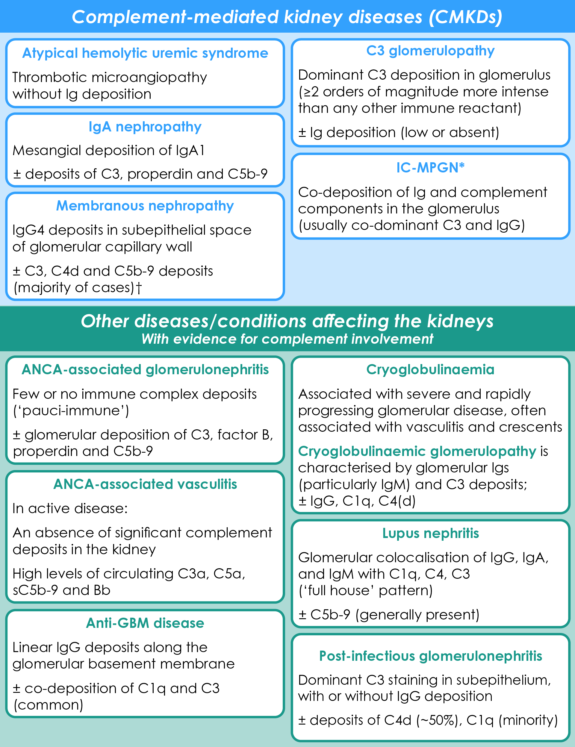 Types of CMKDs, other kidney conditions with complement involvement, and some typical findings on kidney biopsy