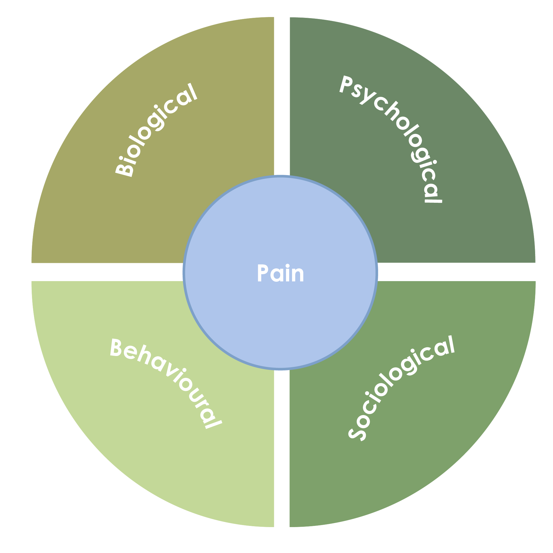 Figure 2. The biopsychosocial approach to managing osteoarthritis pain (Adapted19).