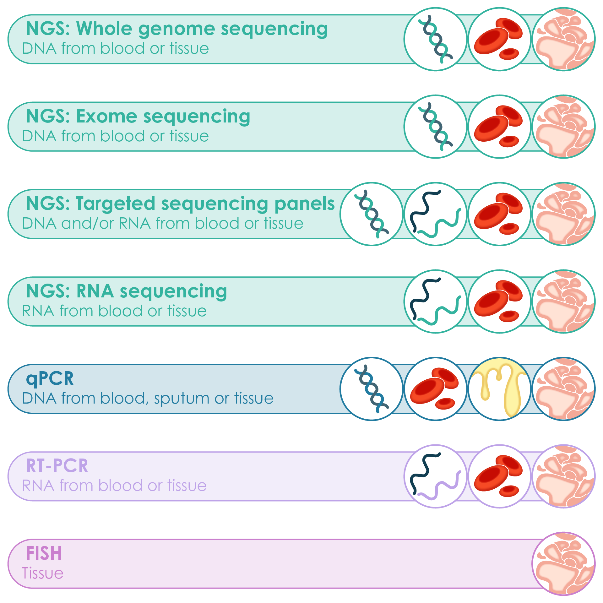Sample requirements for different molecular testing techniques for the identification of RET alterations in NSCLC and thyroid cancer