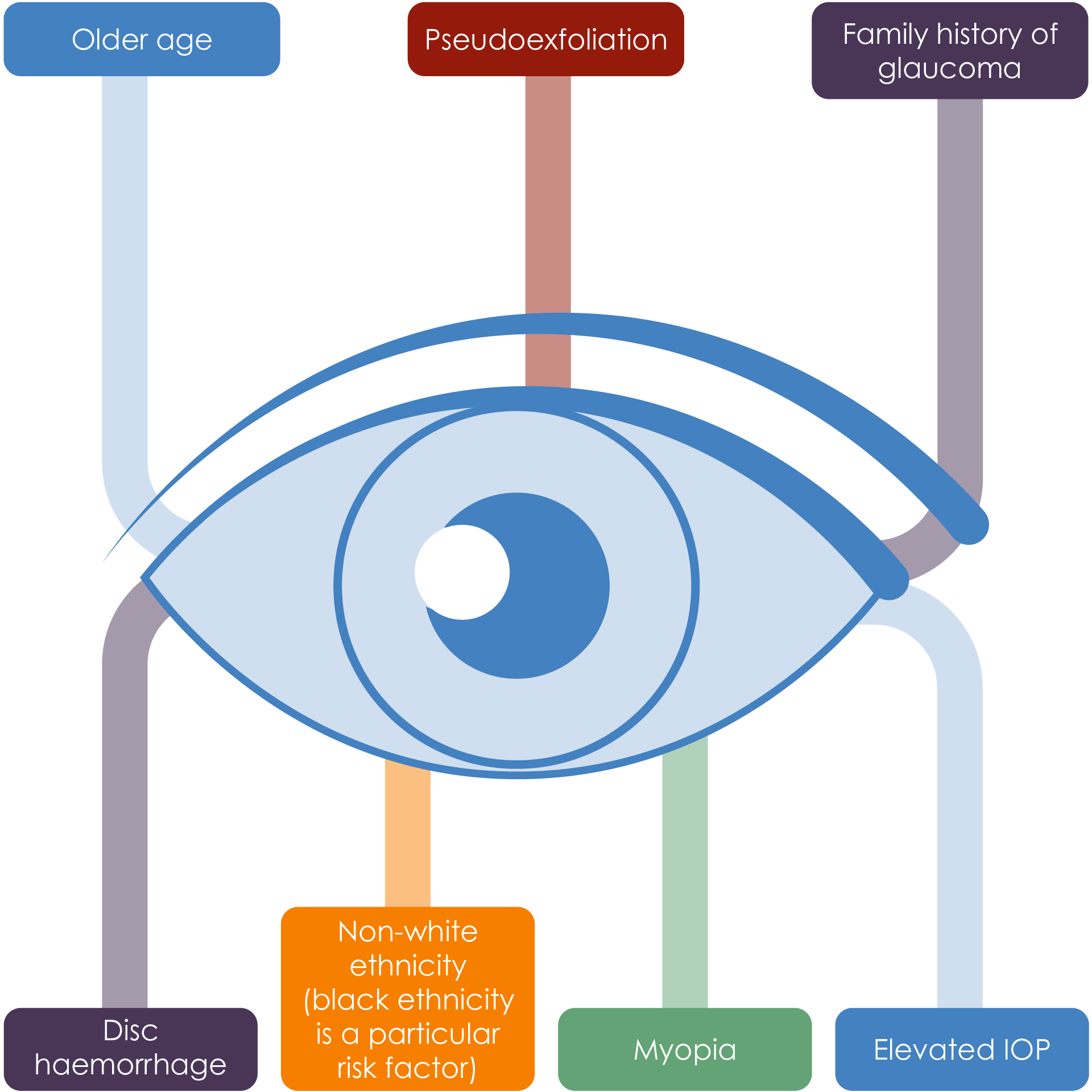 The major risk factors for development of open angle glaucoma