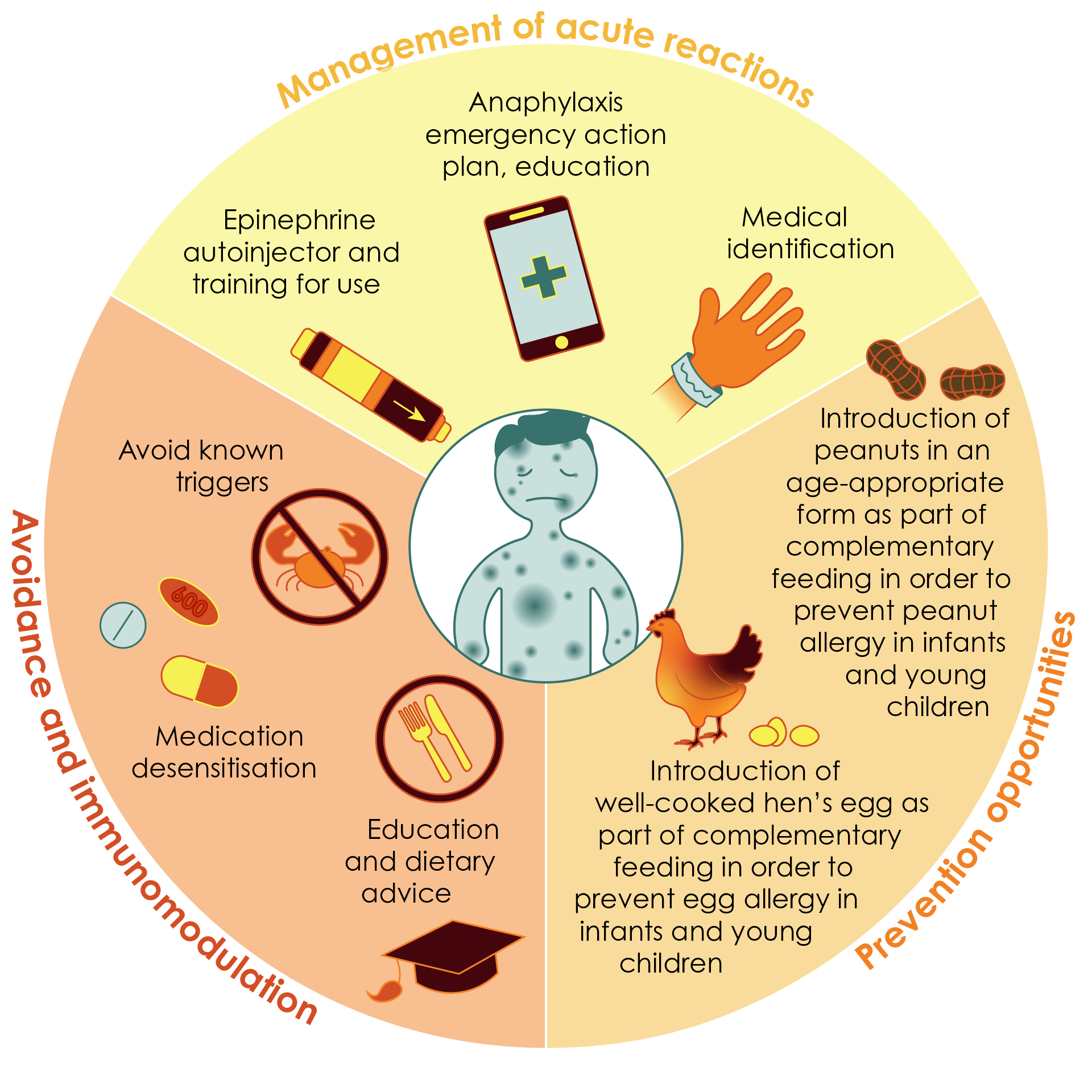 Current strategies for the management of food allergy