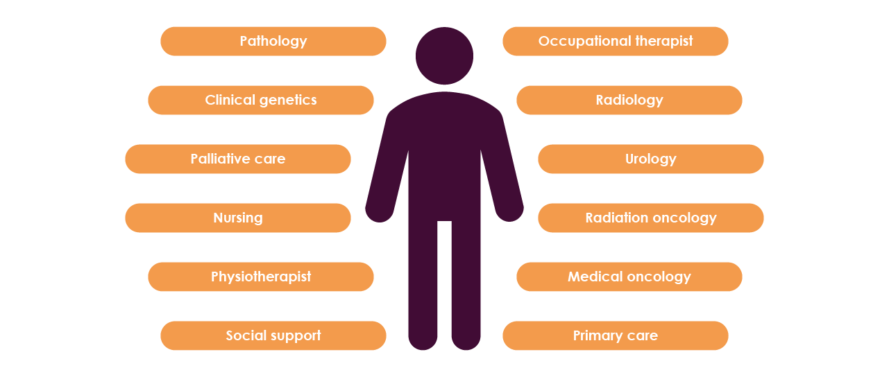 Figure 9. Examples of members involved in the multi-disciplinary approach for prostate cancer patient management. Adapted from Murphy et al., 2019