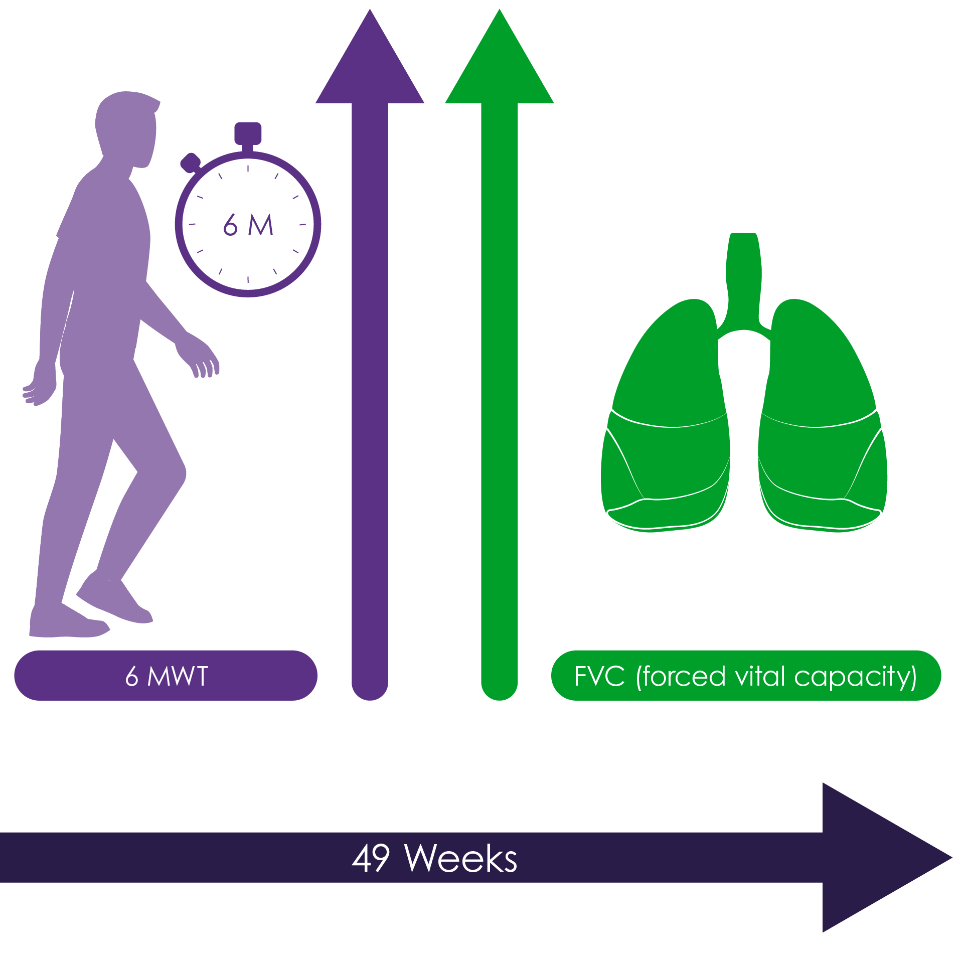 Compared with alglucosidase alfa, avalglucosidase alfa at 49 weeks demonstrated greater improvements in FVC, 6MWT and other outcomes