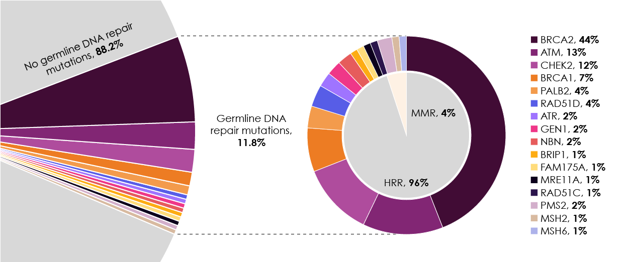 Figure 3. Distribution of presumed pathogenic germline mutations for 16 identified DNA repair genes in men with metastatic prostate cancer. Adapted from Pritchard et al., 2016